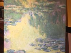-印象莫奈时光映迹艺术展