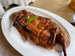 脆皮小乳鸭-圆苑(金茂店)