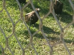 -鄂尔多斯野生动物园