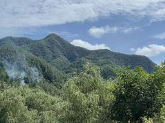 -牛背梁国家森林公园