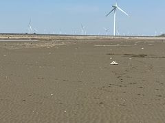-启东黄金海滩景区