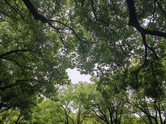 -浙江大学(玉泉校区)