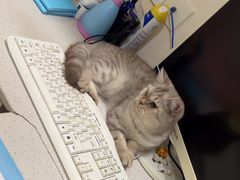 -佳雯宠物医院·皮肤科·内外科(春晓路分院)