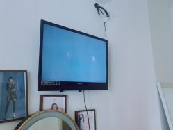 点击看大图 -薇薇安花系SPA