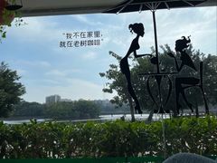 -OLD TREE老树咖啡·西餐厅(台山人工湖店)