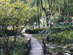-陈家山荷花公园