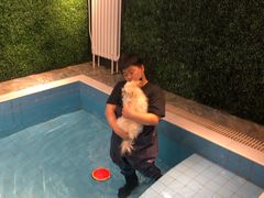 -Goku PET SHOP宠物视觉生活馆(双井店)