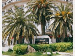 -上海棕榈滩海景酒店