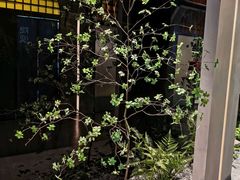 -隐溪茶馆(金虹桥店)