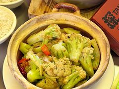 -探吃·美食潮玩汇