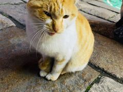 -衣裳街历史文化街区