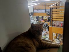 -玉华饮食店(茅台路店)