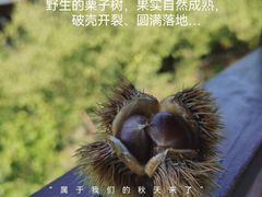 -北京水岸山吧度假村(雁栖镇店)