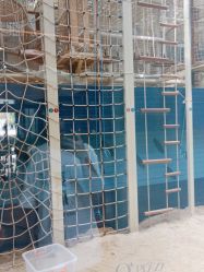 点击看大图 -PIPIKINGDOM皮皮王国欢乐号(欢乐海岸购物中心店)