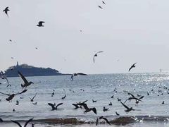 -海尔洲际酒店天下一品中餐厅