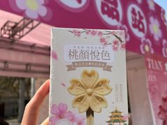 -桃花堤公园