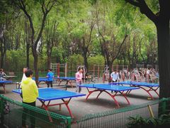 -唐城墙遗址公园
