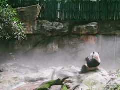 -广州长隆野生动物世界
