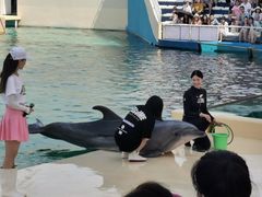 -秦皇岛乐岛海洋王国