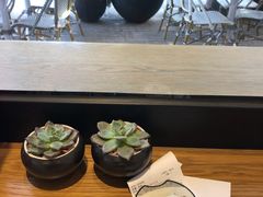 -Peet's Coffee皮爷咖啡(大学路店)