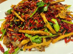 -光辉公鸡馆(事业小区店)