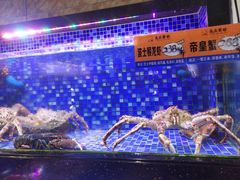 -亮庆餐厅·粤菜·早茶(篁庄店)