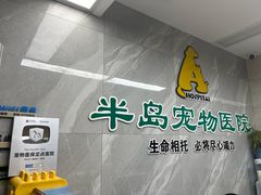 -半岛宠物医院24小时(白果林店)