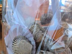 -蓝湾碧波·老字号·疍家非遗海上餐厅