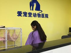 -瑞鹏宠物医院·爱宠堂·骨外专科(西荷分院)