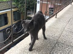 -大理床单厂艺术区