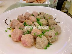 -璞正元酒楼·粤菜·早茶(大朗店)