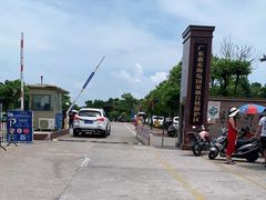 -广东惠东海龟国家级自然保护区