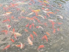 -河北省园博园