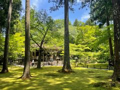 -三千院