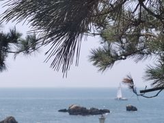 -小麦岛公园