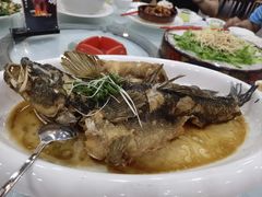 -绿雅居原生态农庄(小涌店)