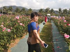-亚龙湾国际玫瑰谷