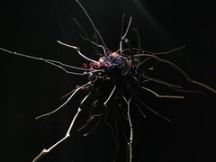 -成都许燎源现代设计艺术博物馆