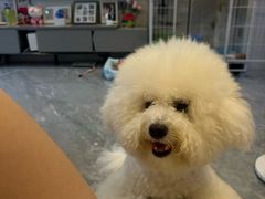 -宠颐生汉谟拉比宠物医院