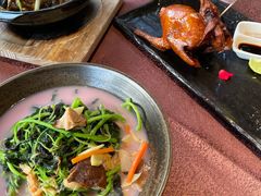 -侨美·唐荔园·40年地道粤菜