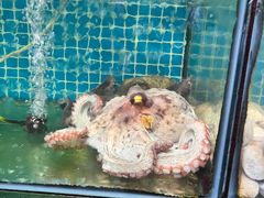 -范饭椰林川湘味海鲜·椰子鸡(三亚湾椰梦长廊店)