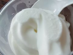 -洪馨椰子