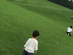 -迪茵湖田家舍生态农场