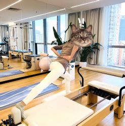 -AN普拉提女子健身工作室