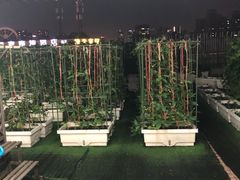 -巴黎春天(浦建店)