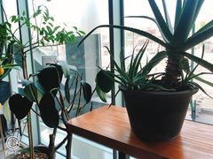 靠窗位-半山腰·云南菜(侨福芳草地店)