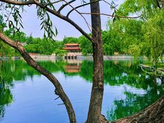-百脉泉景区