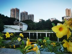 -深圳国际园林花卉博览园