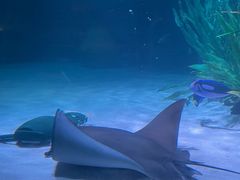 -沈阳海洋探索中心