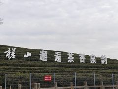 -浮槎山